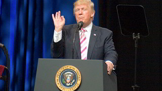 Donald Trump Donald Trump
