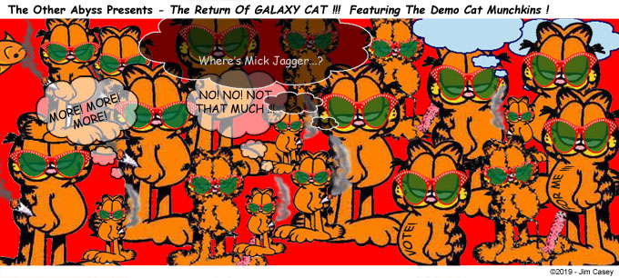 The Demo Cat Munchkins